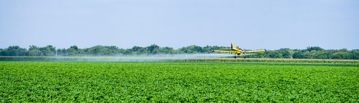 Granular fertilizer is dropped on green crop fields via airplane