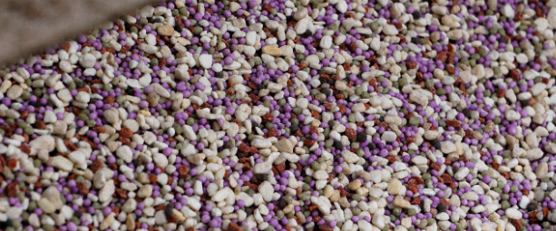 White, purple and plum-colored granules of fertilizer