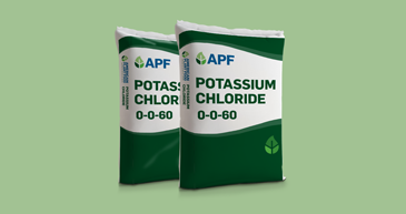 Potassium Chloride APF Bag