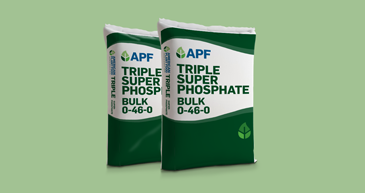 Triple Super Phosphate Bag
