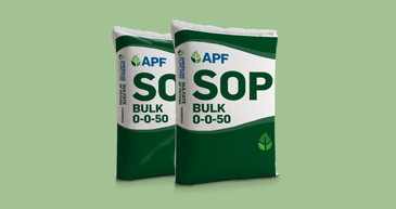 SOP Bulk Product Bag